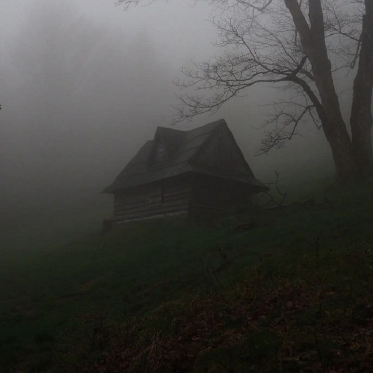 cover art for LO QUE BAJÓ DE LA SIERRA | Relato de un Cazador