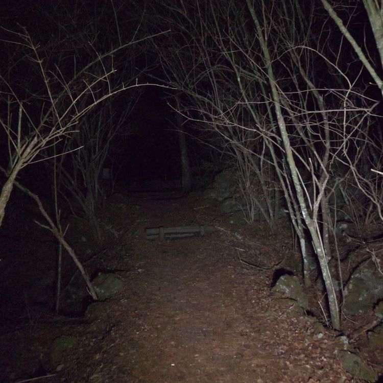 cover art for 3 ENCUENTROS CON SERES SOBRENATURALES