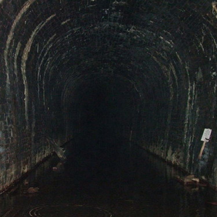 cover art for LO QUE HABITA EN LAS ALCANTARILLAS (y más relatos aterradores)