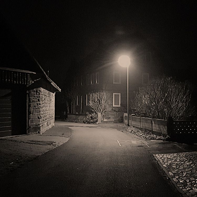 cover art for LA CRIATURA DE LA BOLSA (y más Relatos Aterradores)