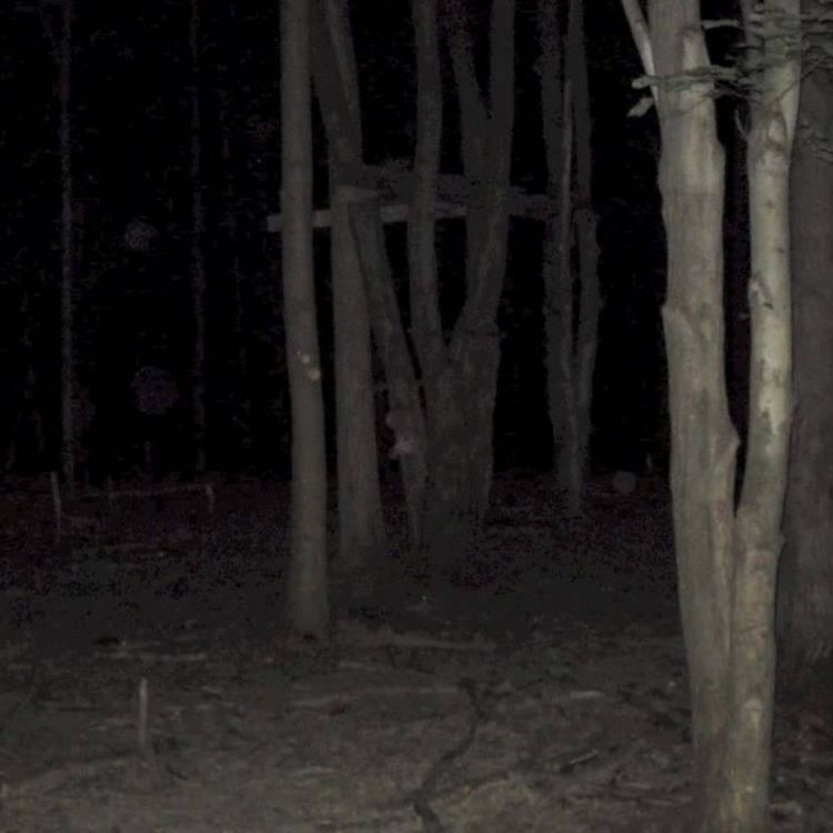 cover art for EXPLORADOR URBANO CUENTA SU EXPERIENCIA MÁS ATERRADORA