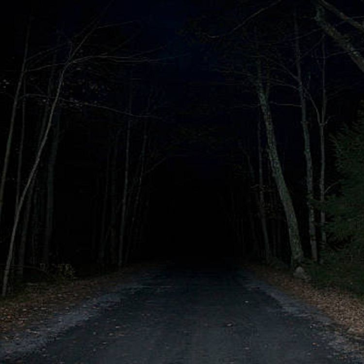 cover art for EL HORROR DEL BOSQUE Y EXPERIENCIAS ATERRADORAS EN CARRETERA