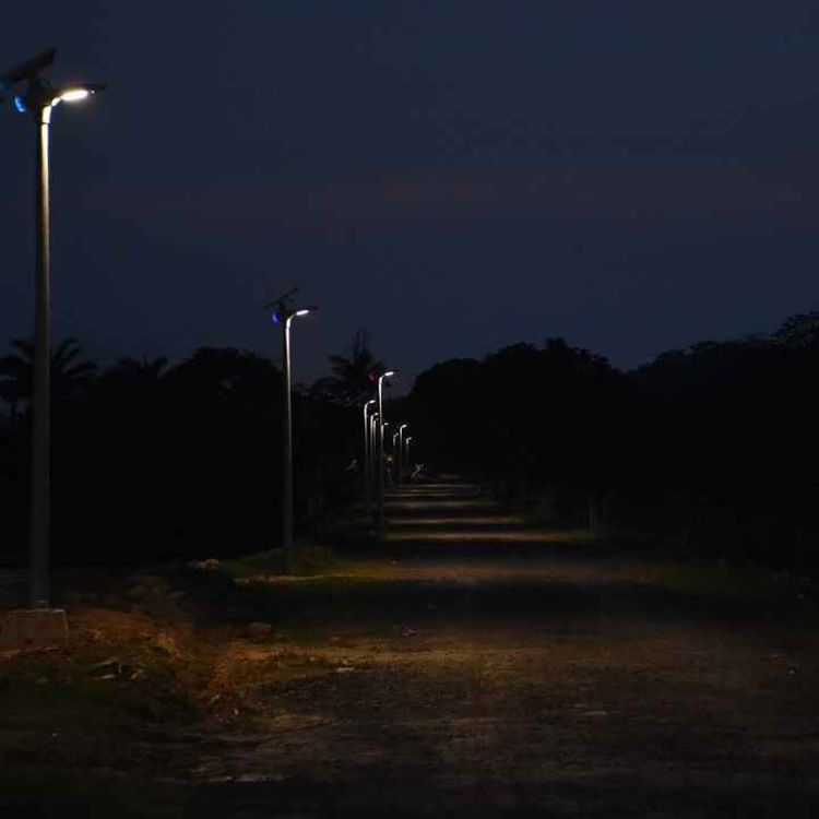 cover art for EL VIEJO DEL MONTE Y MÁS RELATOS ATERRADORES