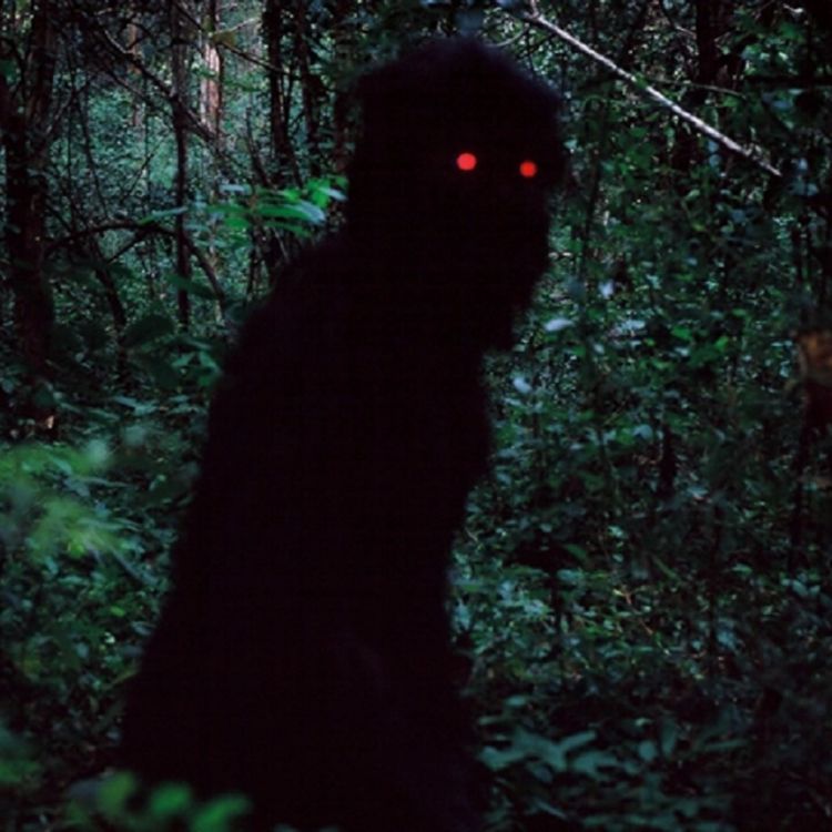 cover art for EL IMBUNCHE y más relatos aterradores