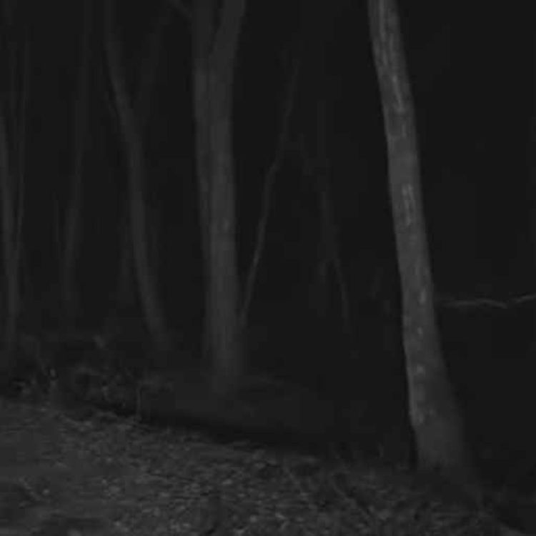 cover art for La noche que me encontré con el terror de frente | Historias que te Helarán la Sangre