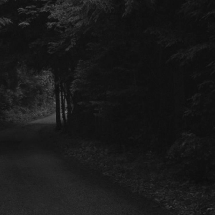 cover art for Los malos espíritus del cerro | La maldición del bosque