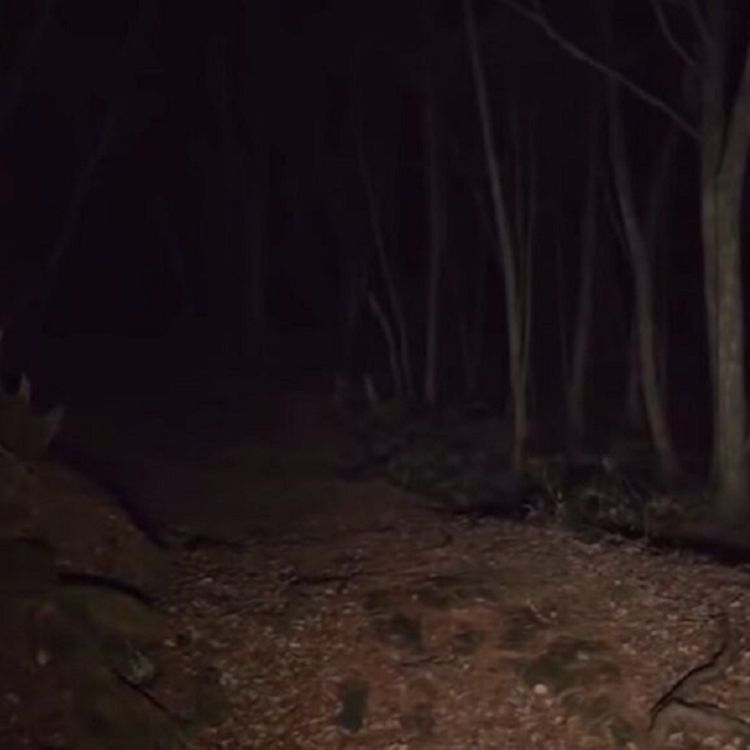 cover art for Encuentro de militares con ser desconocido (y más relatos)