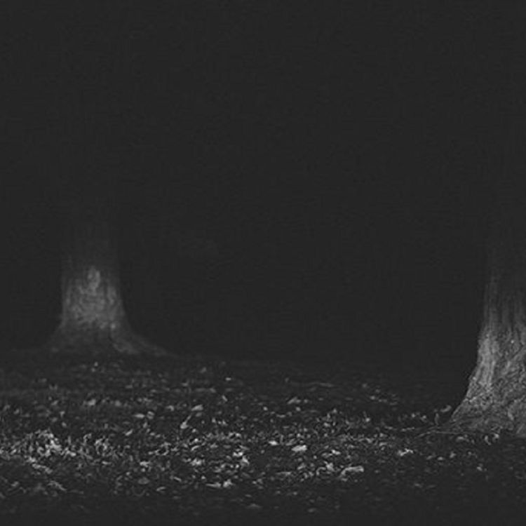 cover art for Los espectros de medianoche