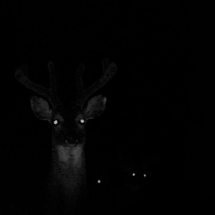 cover art for 3 Experiencias aterradoras en carretera