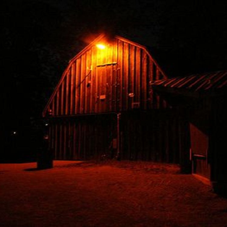 cover art for El extraño comportamiento de Daniel (y más relatos aterradores)