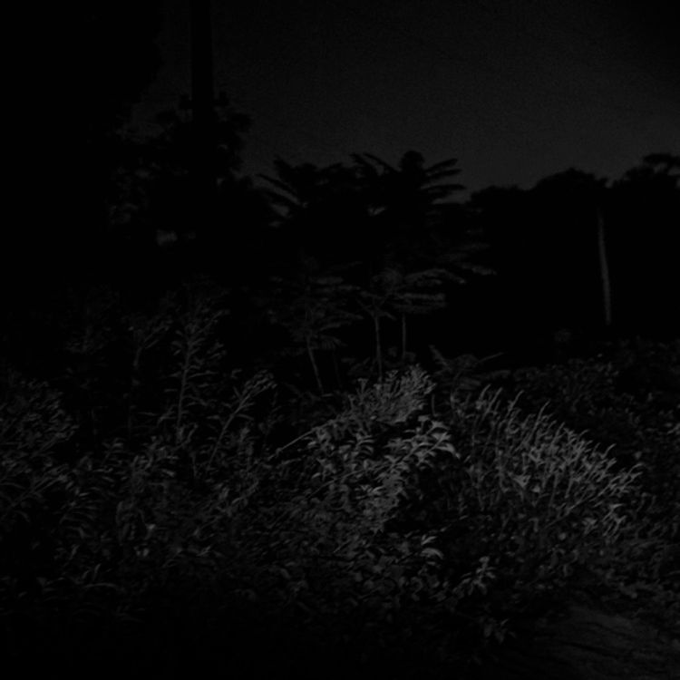 cover art for La criatura que acecha la finca (y más relatos aterradores)