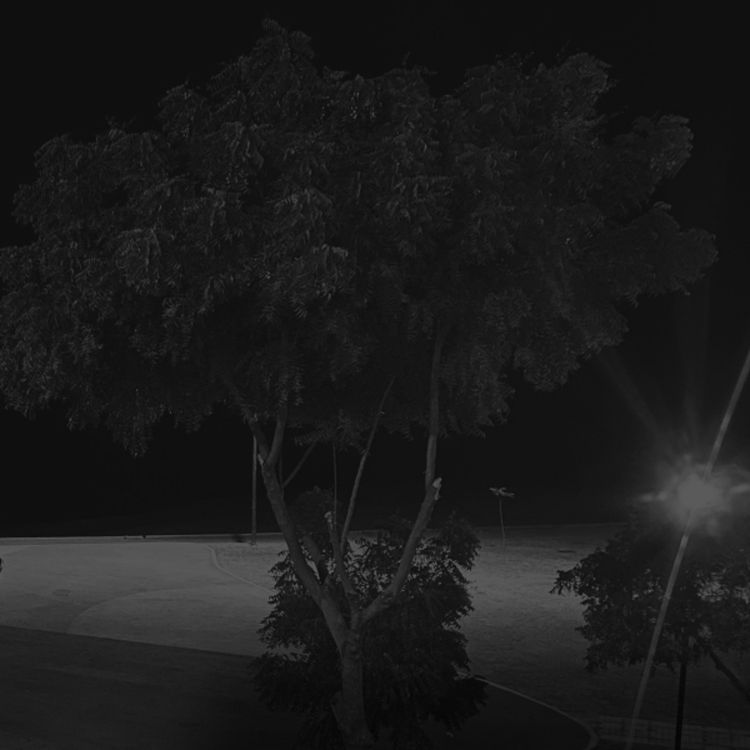 cover art for Hay algo en la funeraria donde trabajo