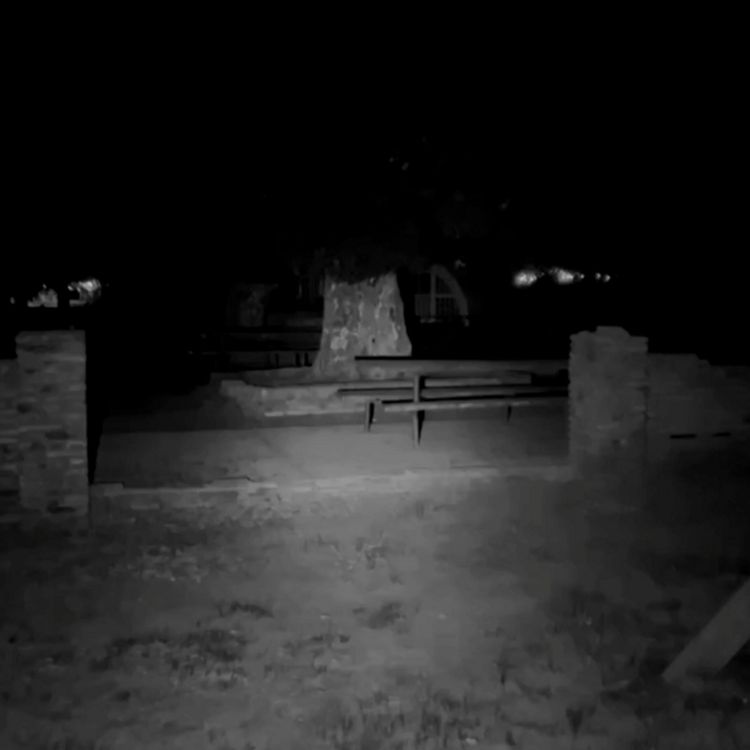 cover art for Cuando los muertos vuelven para despedirse