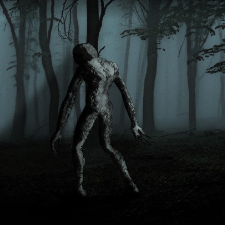 cover art for La razón por la que me niego a volver al bosque