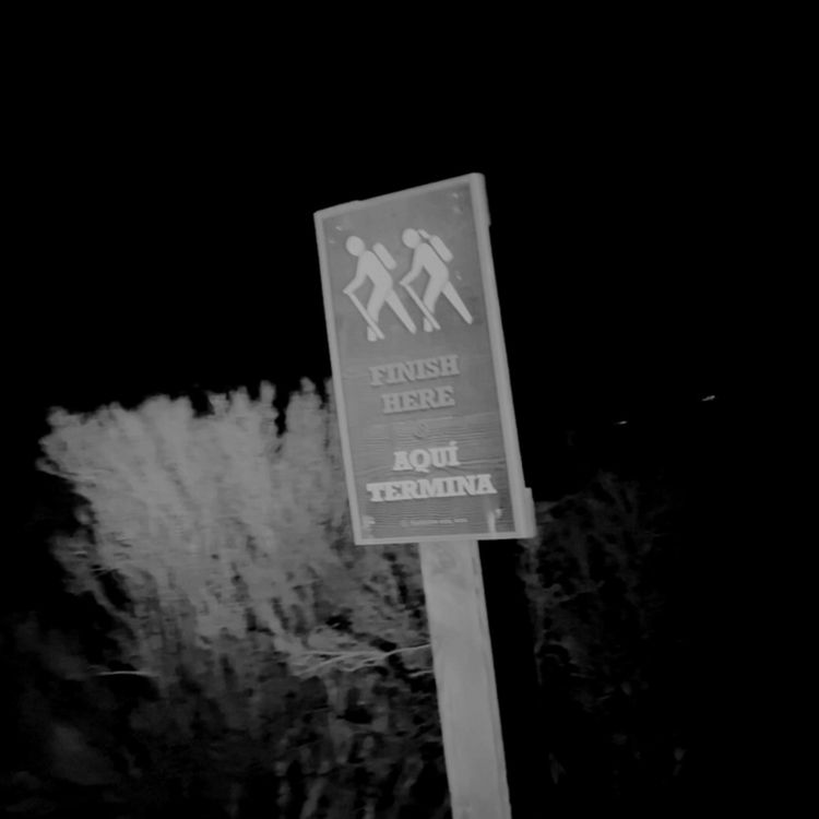 cover art for Trabajo como consejero de campamento siguiendo reglas extrañas