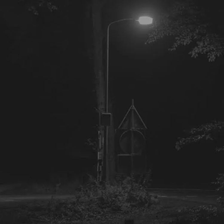 cover art for Experiencias aterradoras de cazadores y campistas