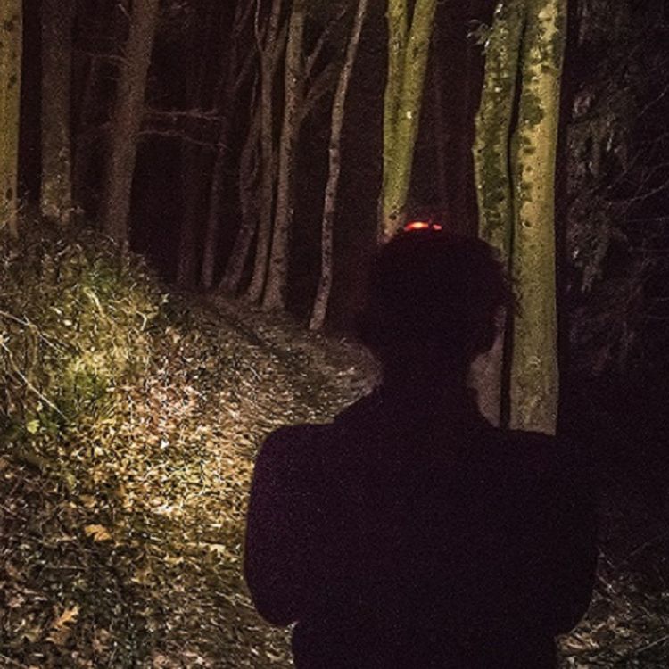 cover art for Los HORRORES que aguardan en el monte (relatos que te provocarán escalofríos)