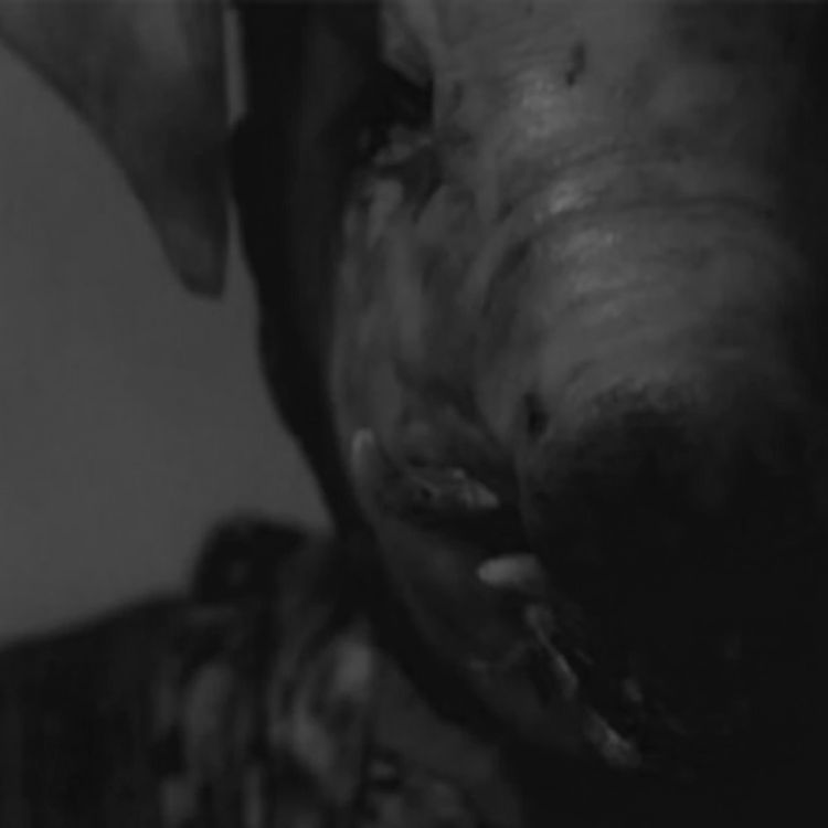 cover art for La cerda | La capilla de los fieles difuntos