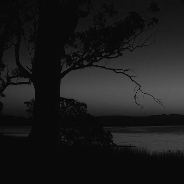 cover art for Una aterradora noche de pesca (Y más historias de horror)