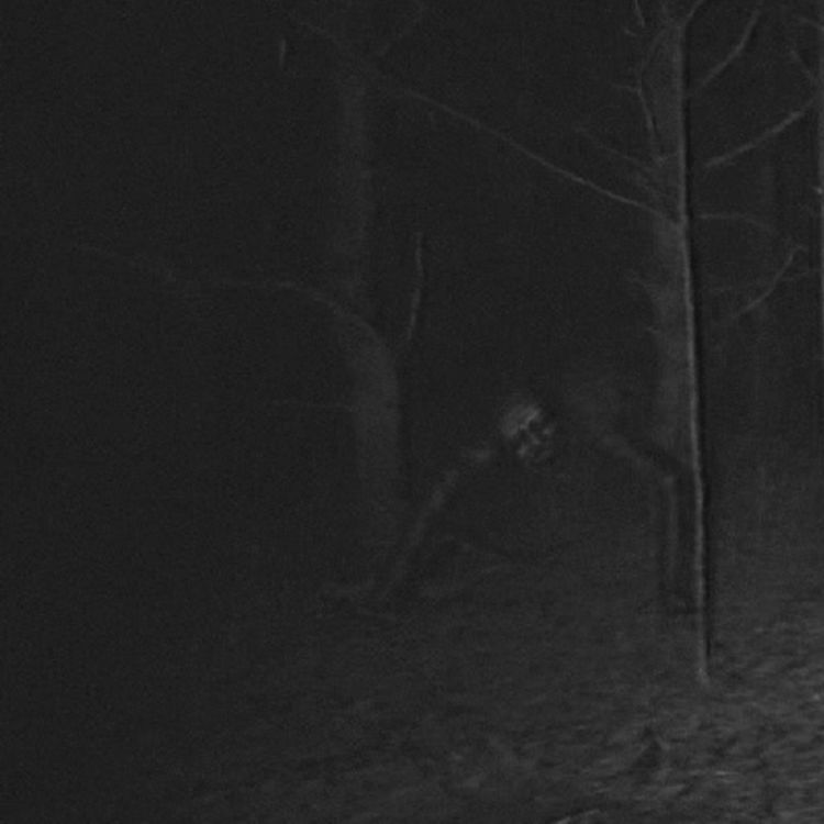 cover art for La noche que mi padre DESAPARECIÓ en el bosque | Historias de terror