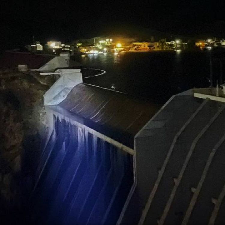 cover art for La Gárgola de la presa de Tijuana | Algo me siguió en el bosque