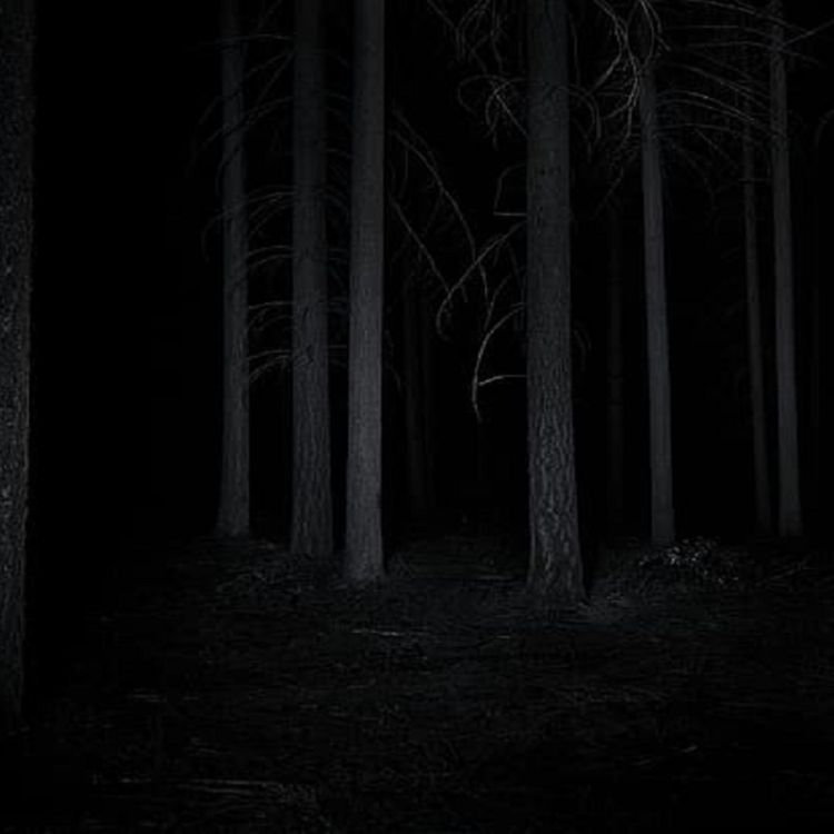 cover art for El macabro ser de los bosques de San Isidro