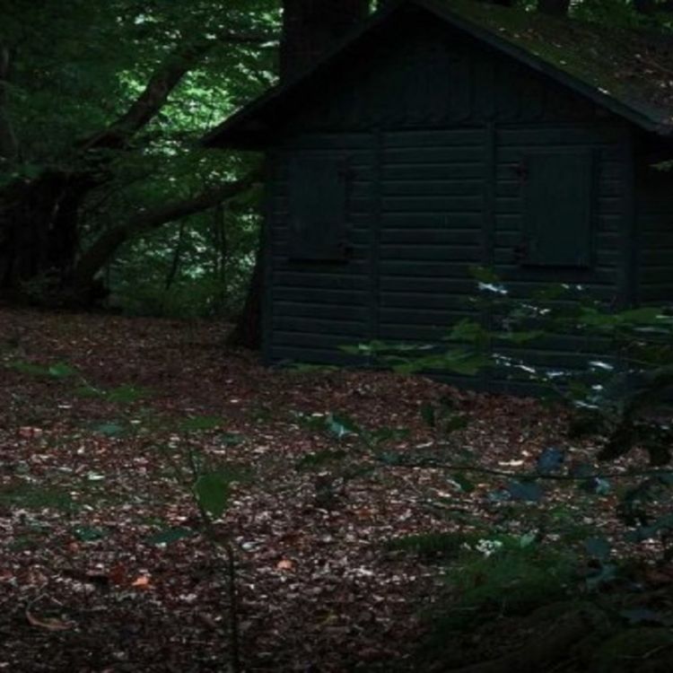 cover art for La aterradora visita de la abuela (y más relatos de suscriptores)