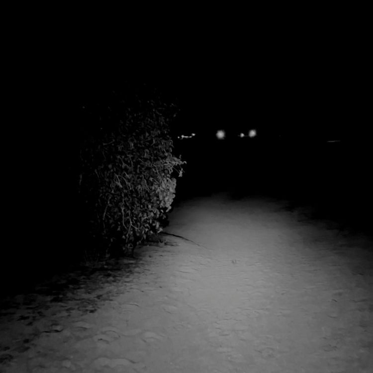 cover art for Encuentros aterradores con SKINWALKERS (y Nahuales) vol. 6