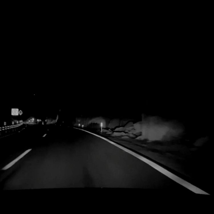 cover art for Experiencias aterradoras en carretera vol. 8