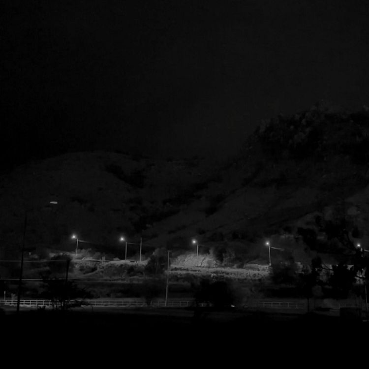 cover art for HAY ALGO ATERRADOR EN EL BOSQUE