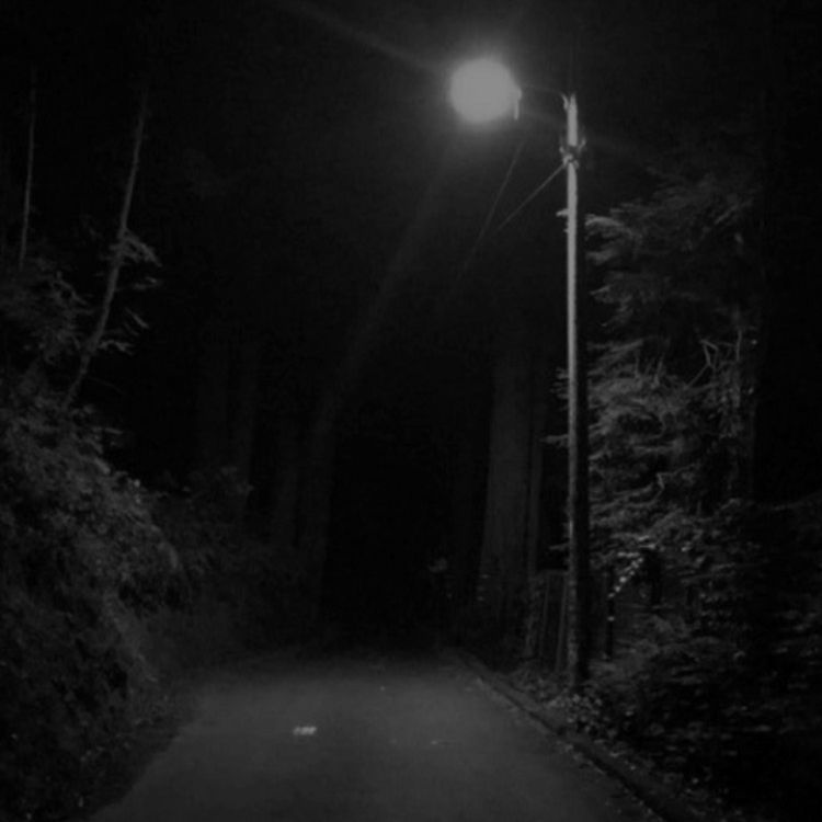 cover art for Encuentro de policía con un ser HUMANOIDE (y más avistamientos de críptidos)