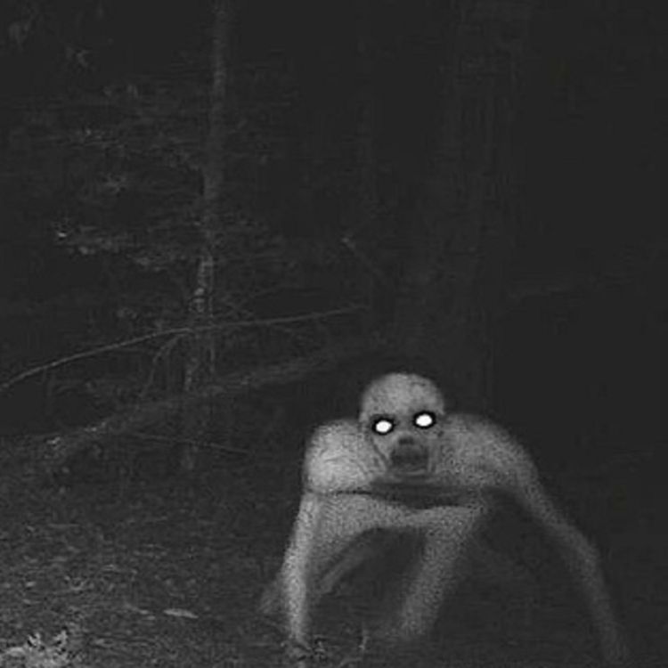 cover art for Encuentros aterradores con skinwalkers vol. 7