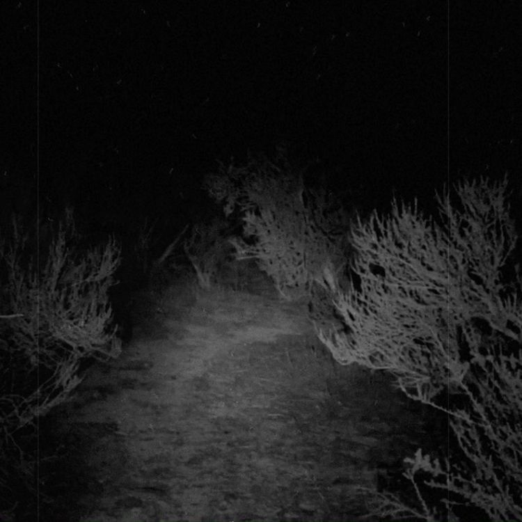 cover art for Encuentros aterradores con NAHUALES Vol.2