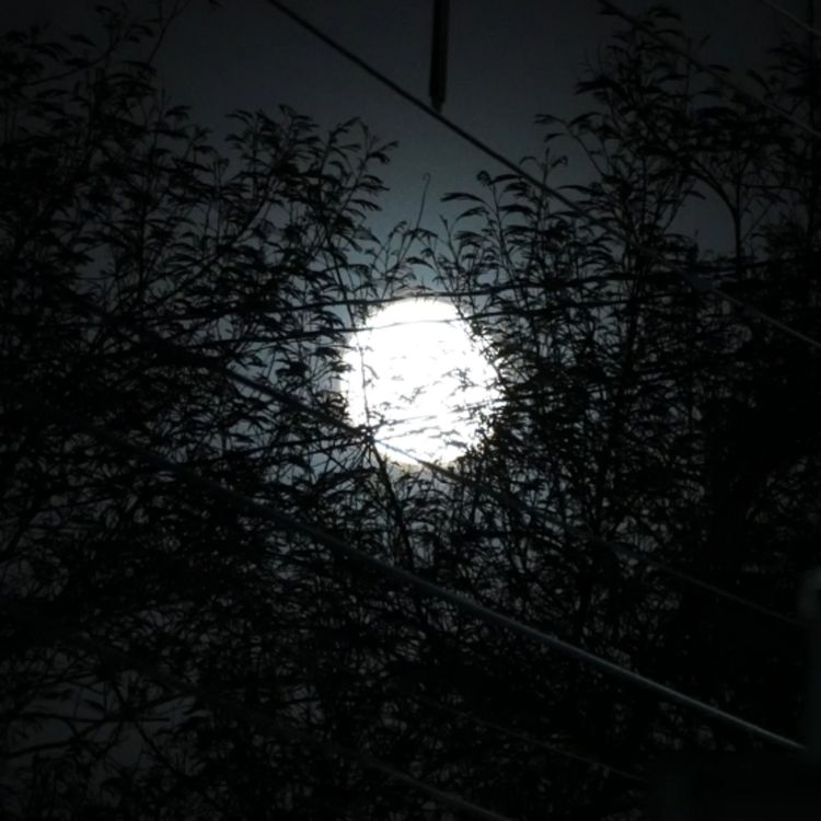 cover art for 1 HORA DE RELATOS ATERRADORES DE SUSCRIPTORES (ESPECIAL HALLOWEEN)