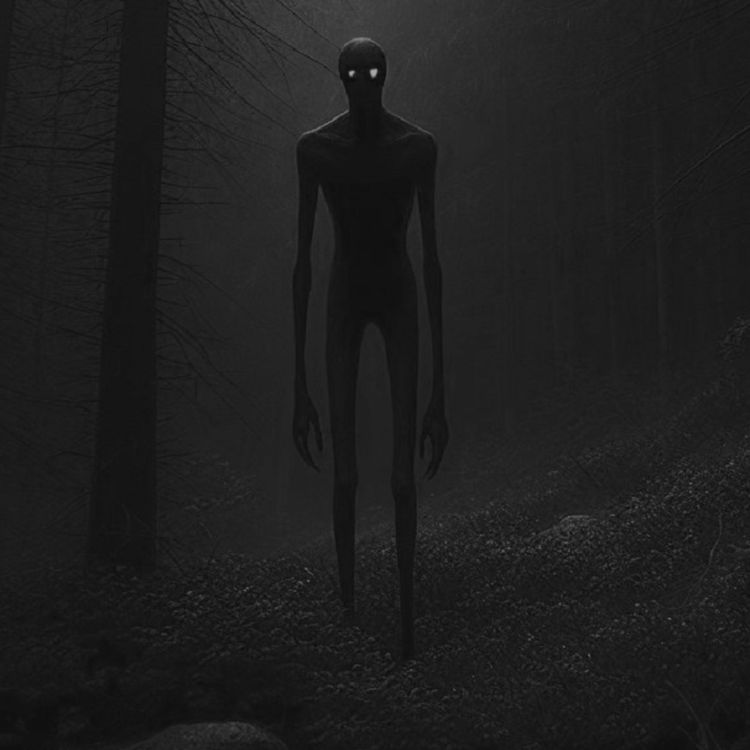 cover art for Lo que se esconde en los matorrales (Historias aterradoras de suscriptores)