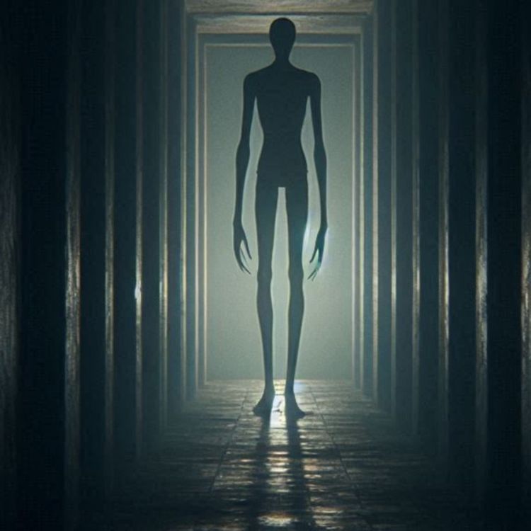 cover art for Mi trabajo como guardia de seguridad me pide seguir REGLAS EXTRAÑAS