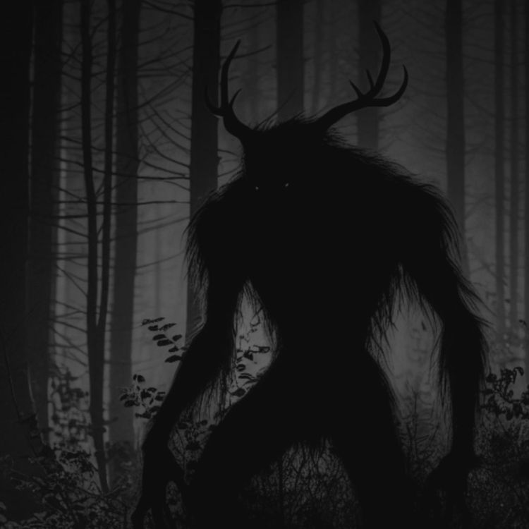 cover art for Experiencias Aterradoras en Bosques Vol.5