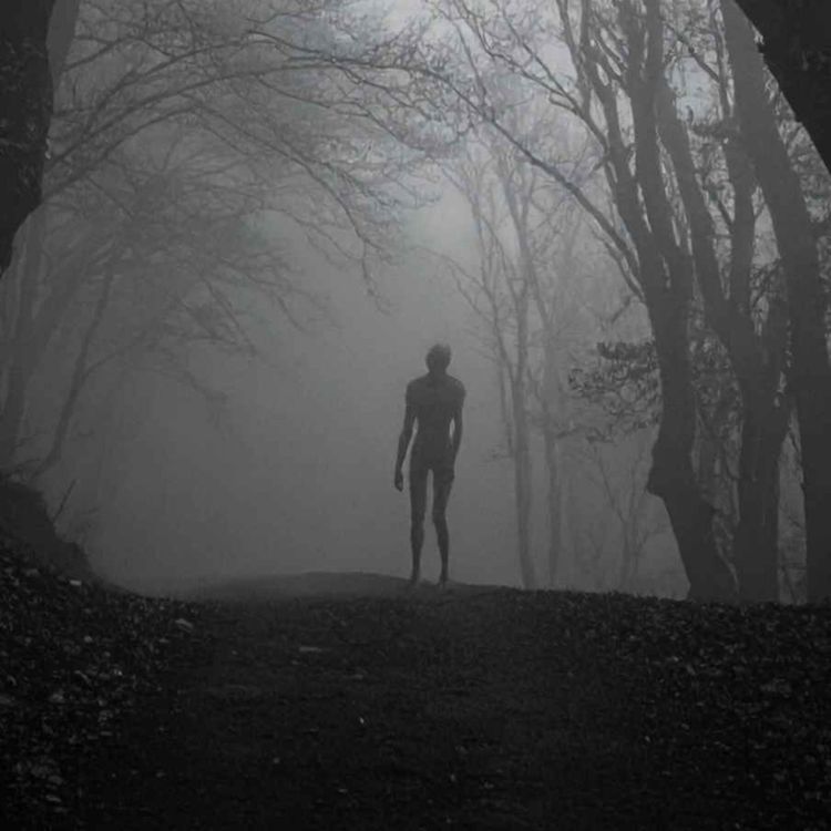 cover art for RELATOS OSCUROS DE LOS APALACHES