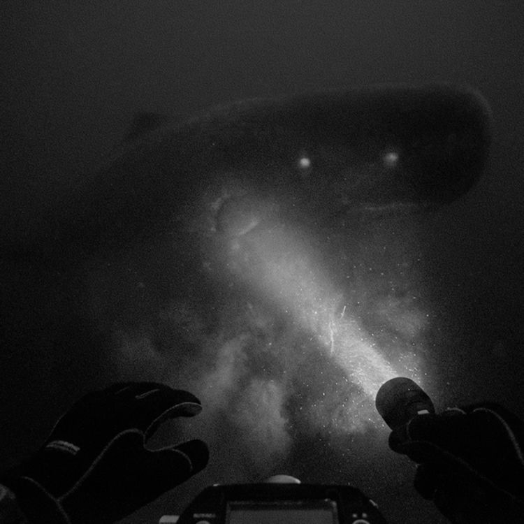 cover art for Terror bajo el Océano Pacífico | Relato de un Buzo