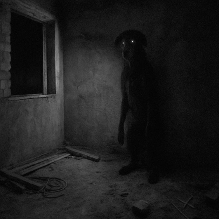 cover art for Un "Animal" Erguido en Celaya | 3 Historias Reales de Terror