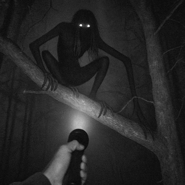 cover art for EL HORROR DE LOS APALACHES | 5 Relatos Oscuros vol.3