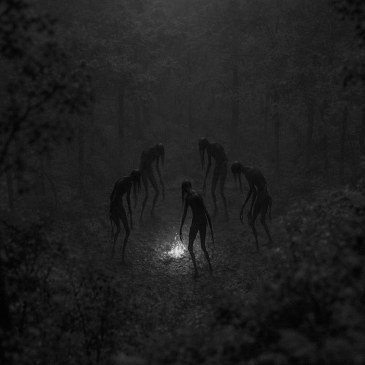 cover art for HISTORIAS DE TERROR (Y RELATOS MACABROS) DEL BOSQUE Vol. 7