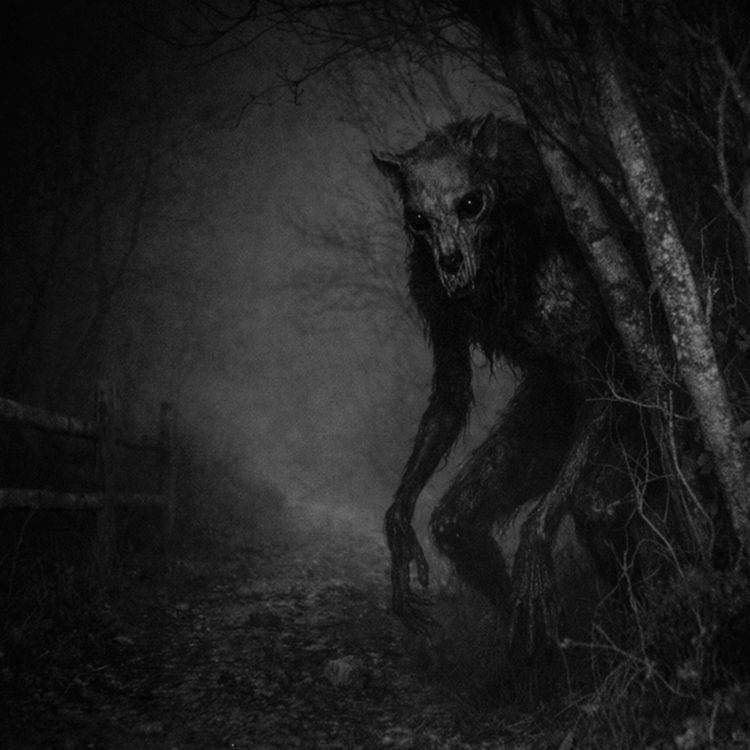 cover art for Criaturas en la Sierra y el Campo | 4 Relatos Reales de Suscriptores
