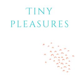 cover art for Tiny Pleasures