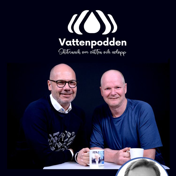 cover art for # 35 Yrkesroller i VA-branschen: VA-konsult