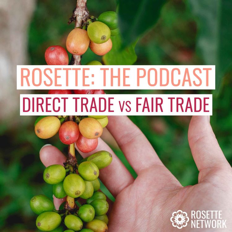 cover art for Direct trade vs fair trade