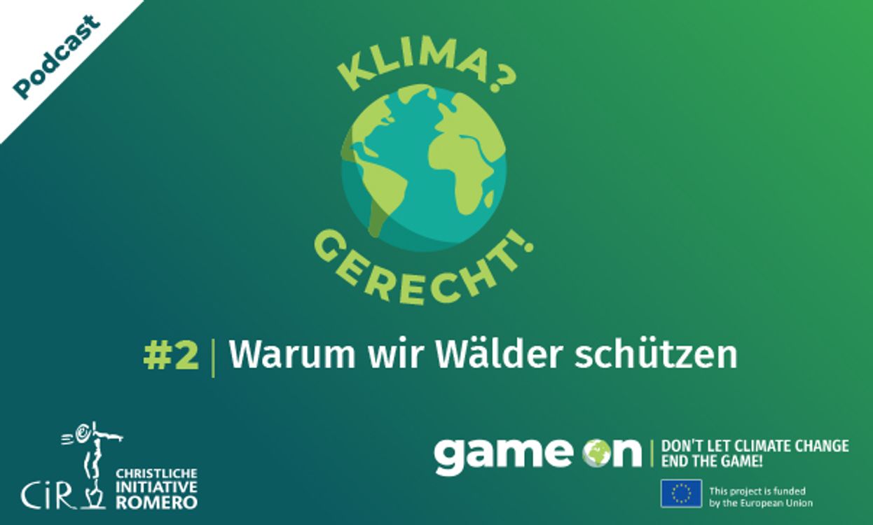 cover art for #2 - Warum wir Wälder schützen