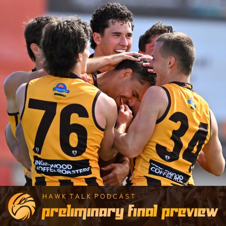 cover art for Preliminary Final Preview (2026)