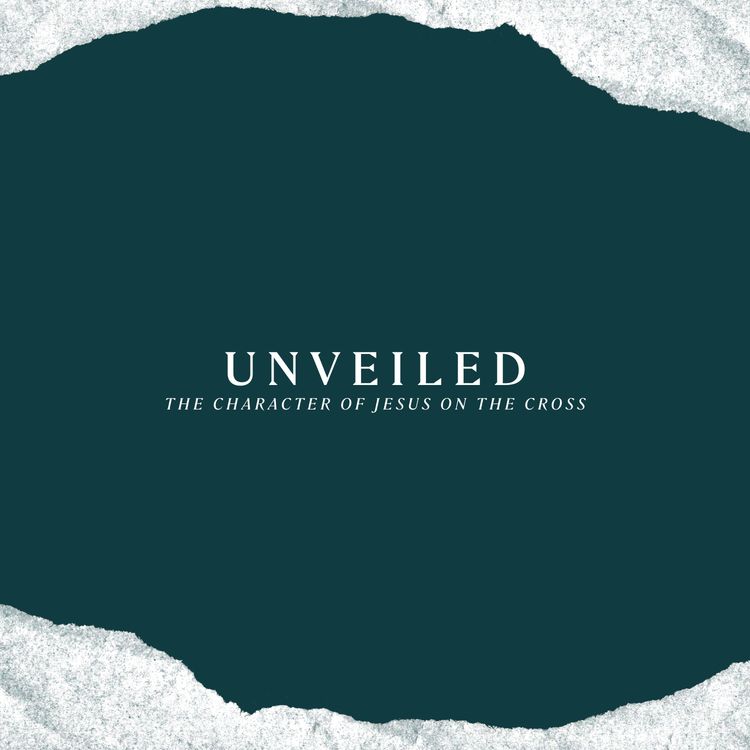 cover art for Revealed