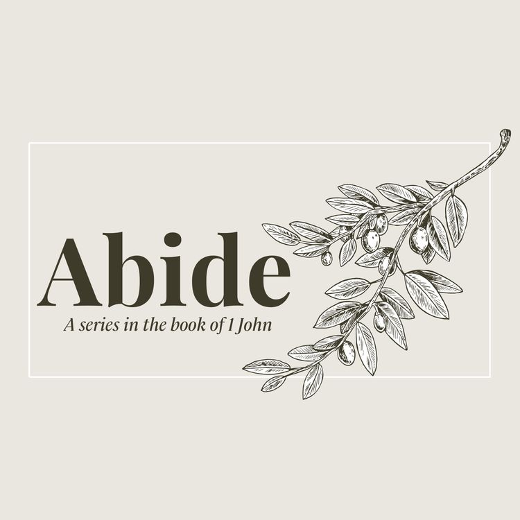 cover art for Abide in the True Vine